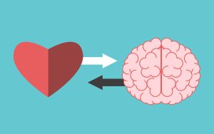 Heart and brain interaction
