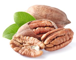 Pecan nuts in closeup